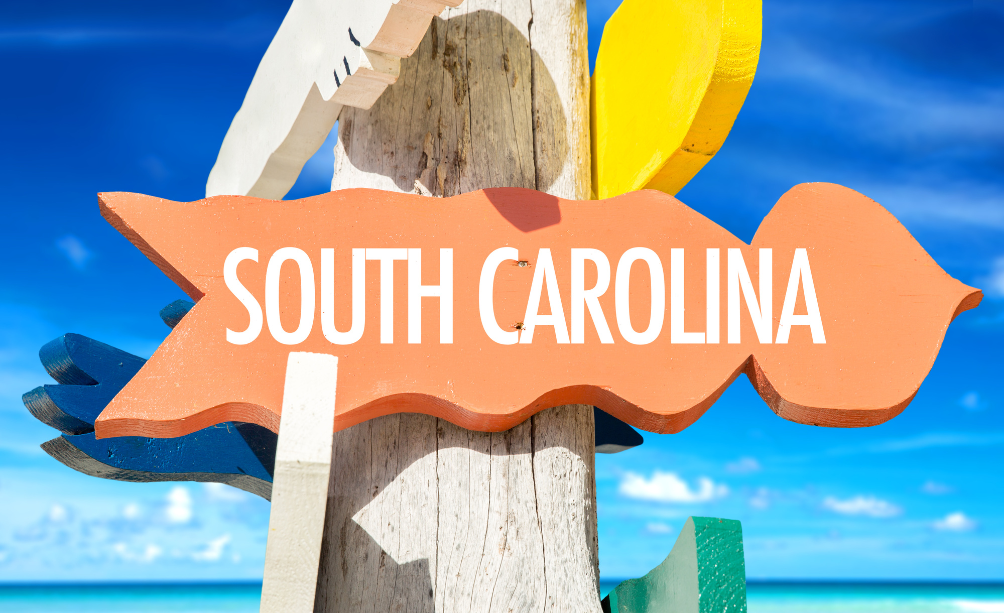 Investing in Real Estate: The Best Places in South Carolina